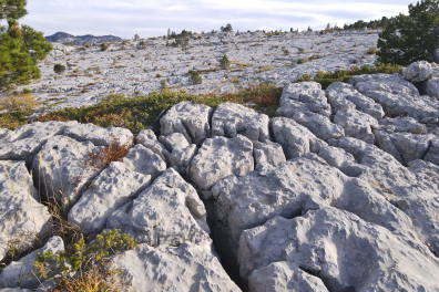 Lapiaz - Parmelan (Haute Savoie, France)